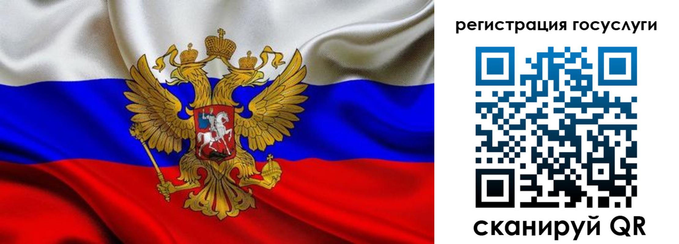 прописка гарантия в Новом Осколе